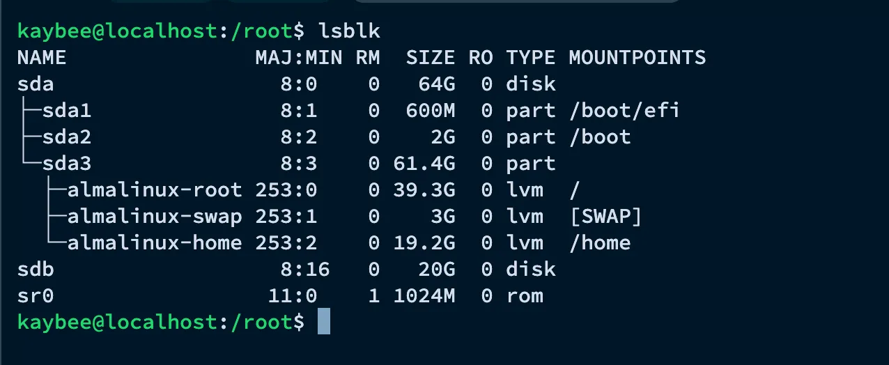 lsblk showing the initial disk layout, with sdb as a fresh 20GB disk