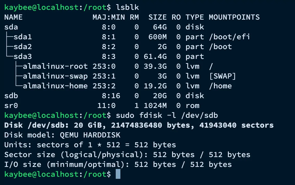 fdisk -l /dev/sdb showing raw disk details before LVM setup